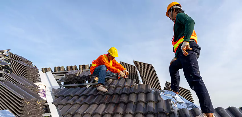 Professional Roofing Services in Joliet, IL